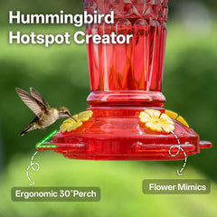 GelinRedcap Hummingbird Feeder showing flower ports