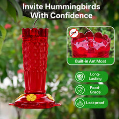 GelinRedcap Hummingbird Feeder with ant moat on display