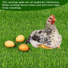 Generic Chicken Nesting Pads in a chicken coop setting