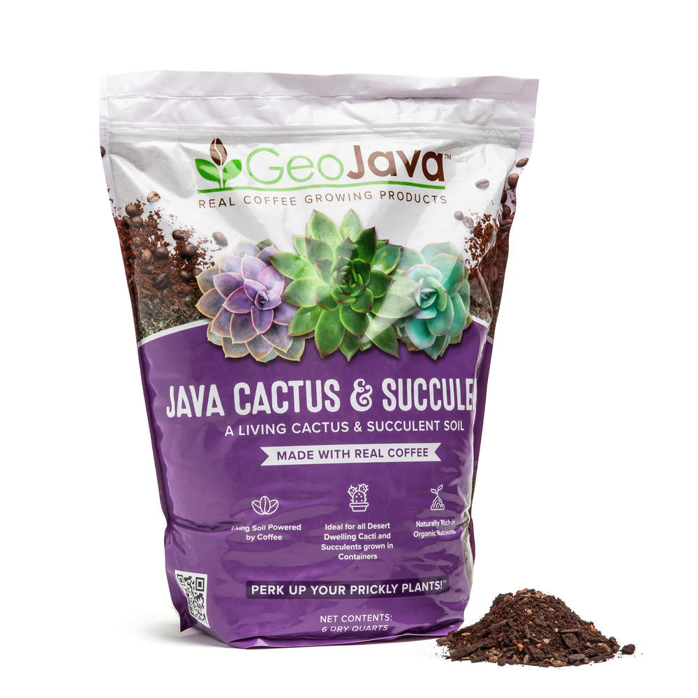 GeoJava Cactus & Succulent Soil 6QT front view