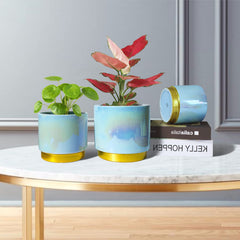Gepege 6-inch ceramic pot with succulent plant