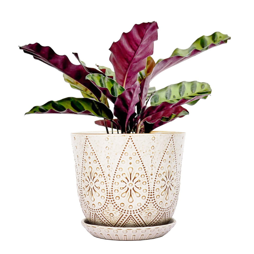 Gepege 8 Inch White Ceramic Plant Pot front view with drainage holes