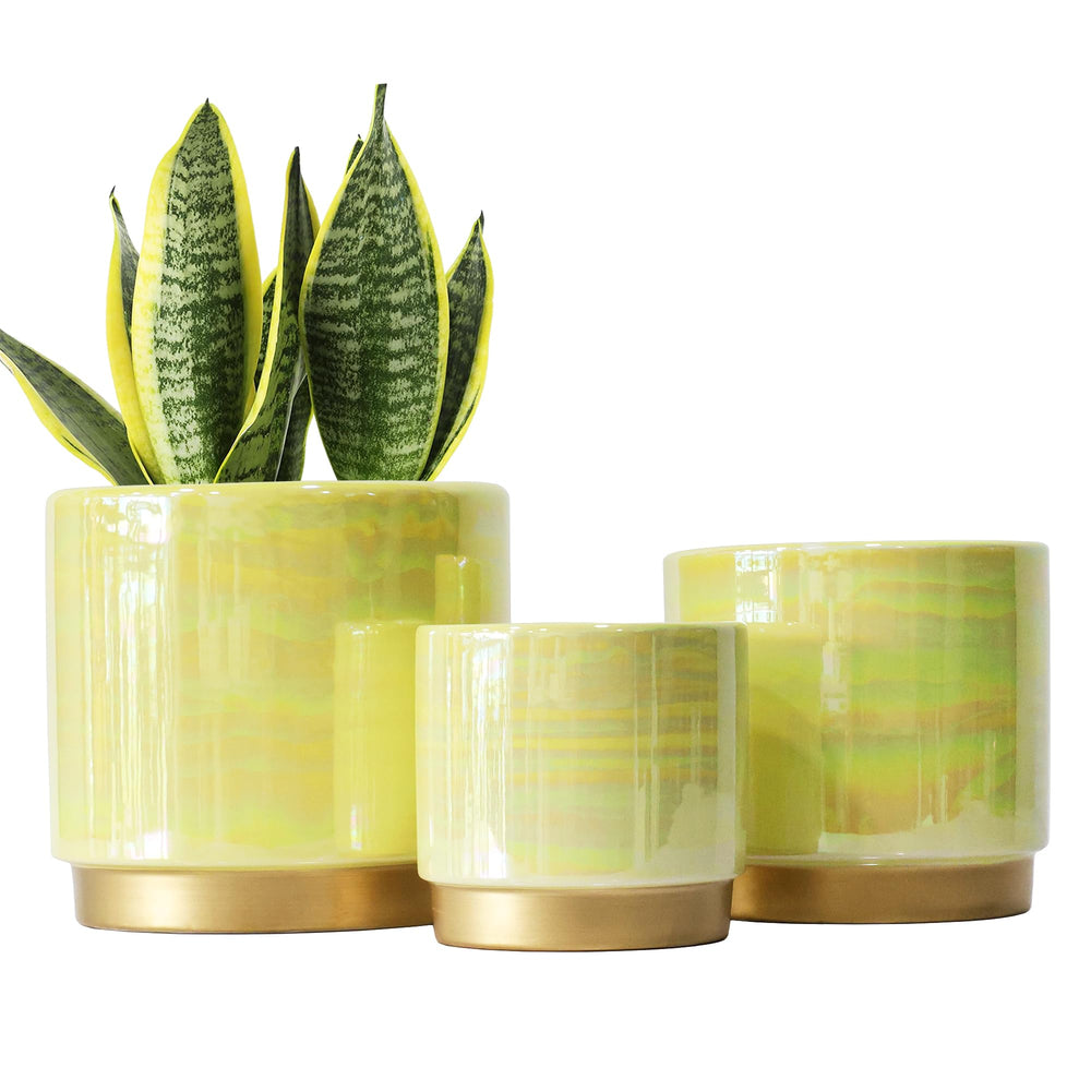 Gepege ceramic plant pots set of 3 in yellow