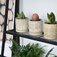 Gepege decorative ceramic plant pots on a shelf