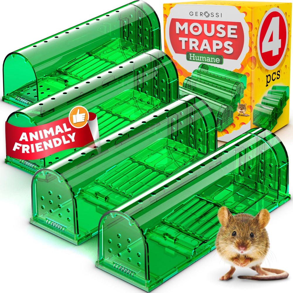 GEROSSI Humane Mouse Trap pack of 4 with see-through green design
