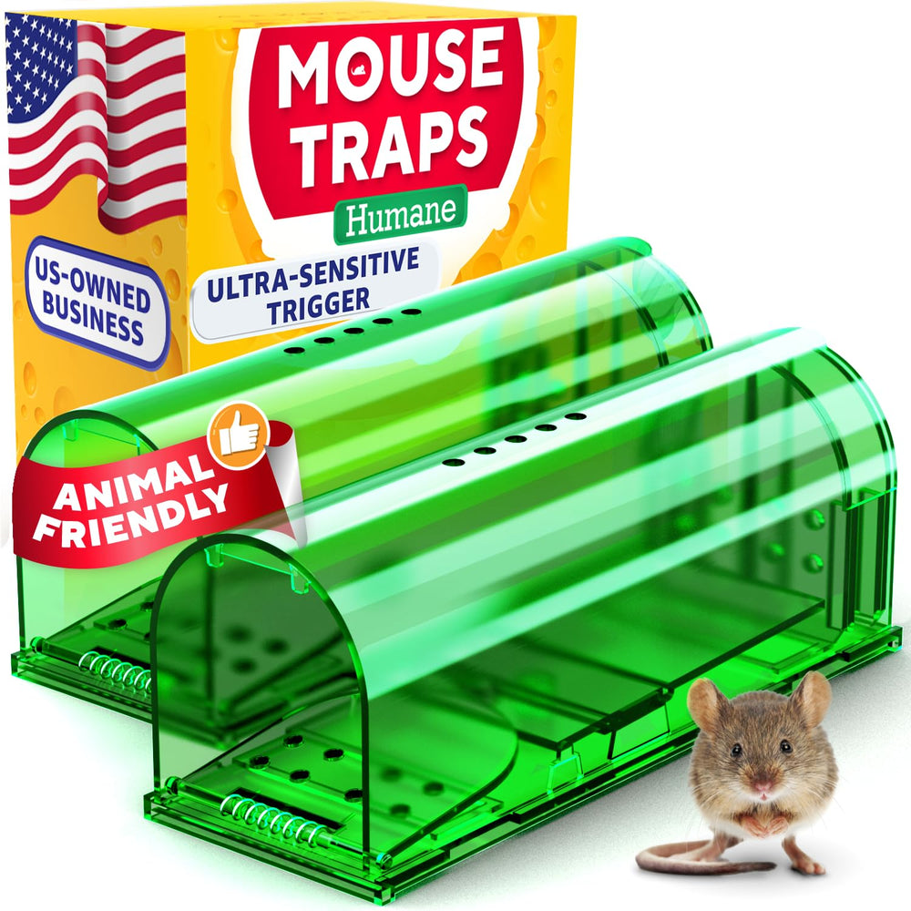 GEROSSI humane mouse trap transparent green front view