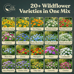 GevaGrow wildflower seeds tub showing vibrant flower varieties