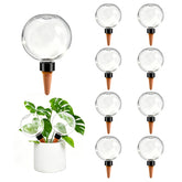GEWOSI self watering globe clear design front view