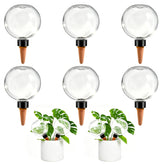 GEWOSI Self Watering Globes 6 pack clear design