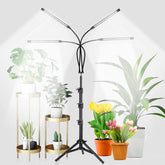 GHodec Grow Light Free Standing 4-Head Lamp front view