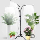 GHodec Grow Light with Stand, 3-Head design, Black
