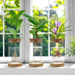Gicare propagation stations set on a wooden table