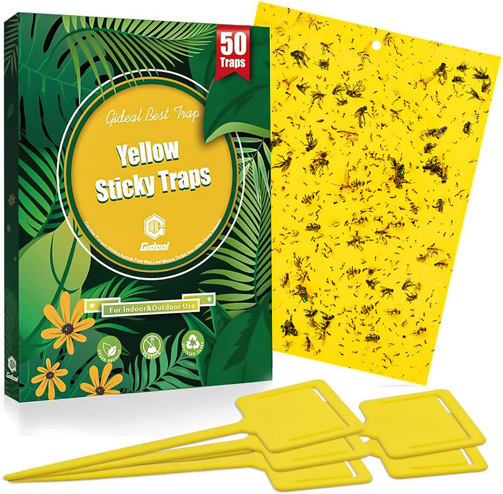 Gideal 50-Pack Dual-Sided Yellow Sticky Traps front view