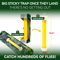 Gideal Yellow Sticky Trap with adhesive surface