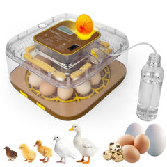 GleeGearNex Gen IV 12 Egg Incubator front view