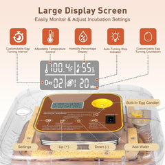GleeGearNex Gen IV 12 Egg Incubator transparent lid