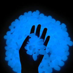 GLOCARNIVAL glow pebbles blue rocks in a garden