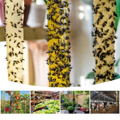 Glovv Fly Trap Strips hanging in a kitchen setting
