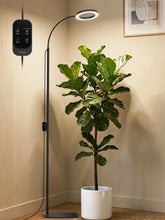 GLOWRIUM 24W Grow Light with adjustable stand and full spectrum features