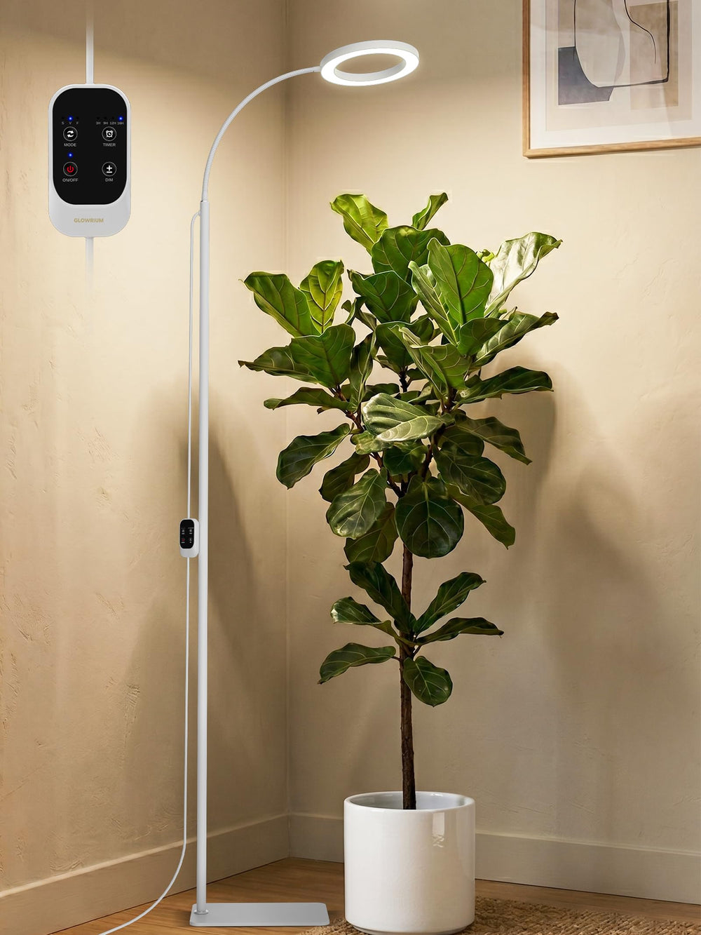 GLOWRIUM 24W grow light with adjustable stand and lamp head