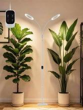 GLOWRIUM 48W grow light for indoor plants with dual heads