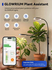 GLOWRIUM Grow Light controller with timer settings