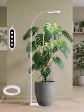 GLOWRIUM grow light for indoor plants with adjustable height