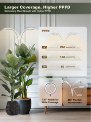 GLOWRIUM Tall Plant Grow Light showing height adjustment