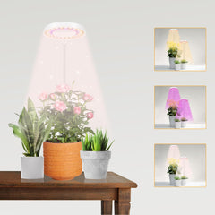 GooingTop LED Grow Light Halo Lamp with adjustable height