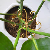 Goooxim 5PCS Plant Stem Support gold metal stabilizers front view