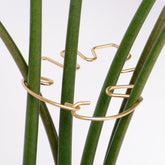 Goooxim Monstera Stem Support set with five clamps in a garden setting