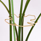 Goooxim Monstera Stem Support Stake set with five clips