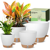 Goproauto Self-Watering Pots 6-inch white planter front view