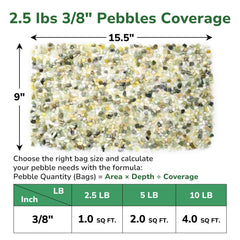 GreatBuddy jade pebbles scattered on a garden path