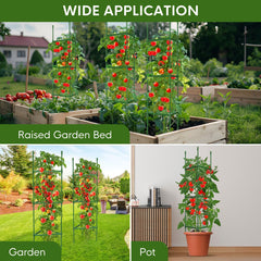 Green MQJIAZHI tomato cage in an outdoor setting