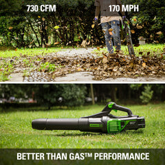Greenworks 80V Leaf Blower in use on a patio with leaves