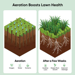 Grenebo Lawn Aerator with cushioned T-handle