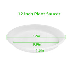 Grjoprt 12 inch clear plant saucer side view