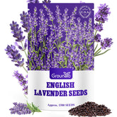 Groundio 1500+ English Lavender Seeds pack front view