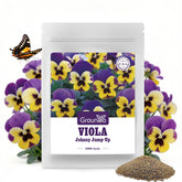 Groundio Johnny Jump Up Seeds package front view