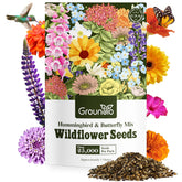 Groundio wildflower seeds mix packaging front view, showcasing 24 varieties