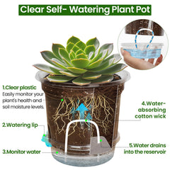 Group of 20 Bluepro self-watering pots arranged