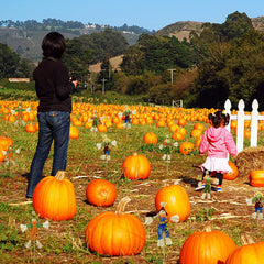 Group of EBaokuup 12-inch scarecrows on a porch during autumn