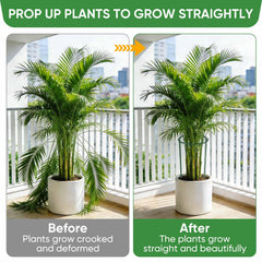 Group of HiGift plant support stakes supporting tomato plants