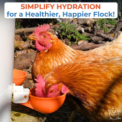 Group of Lil'Clucker Automatic Chicken Waterer Cups in orange