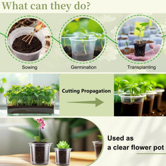 Group of SupKing clear nursery pots in various sizes