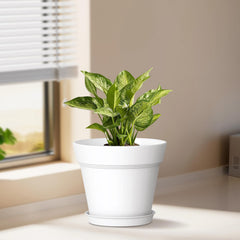 Group of WSMKSZ 5 Inch Plastic Plant Pots, white color