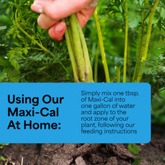 Grow More Maxi-Cal Fertilizer displayed in a garden setting