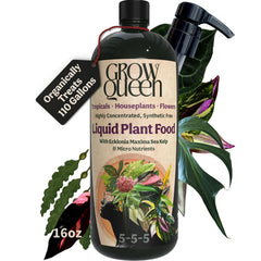Grow Queen Organic Liquid Indoor Plant Food 5-5-5 16oz bottle front view
