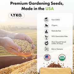 Grow sponges and baskets from LYKOCLEAN Herb Seed Pod Kit